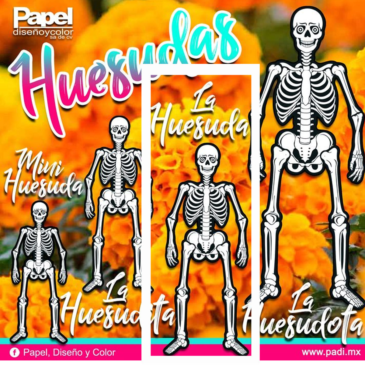 figura-dia-de-muertos-la-huesuda-padi-farmacia-santa-fe